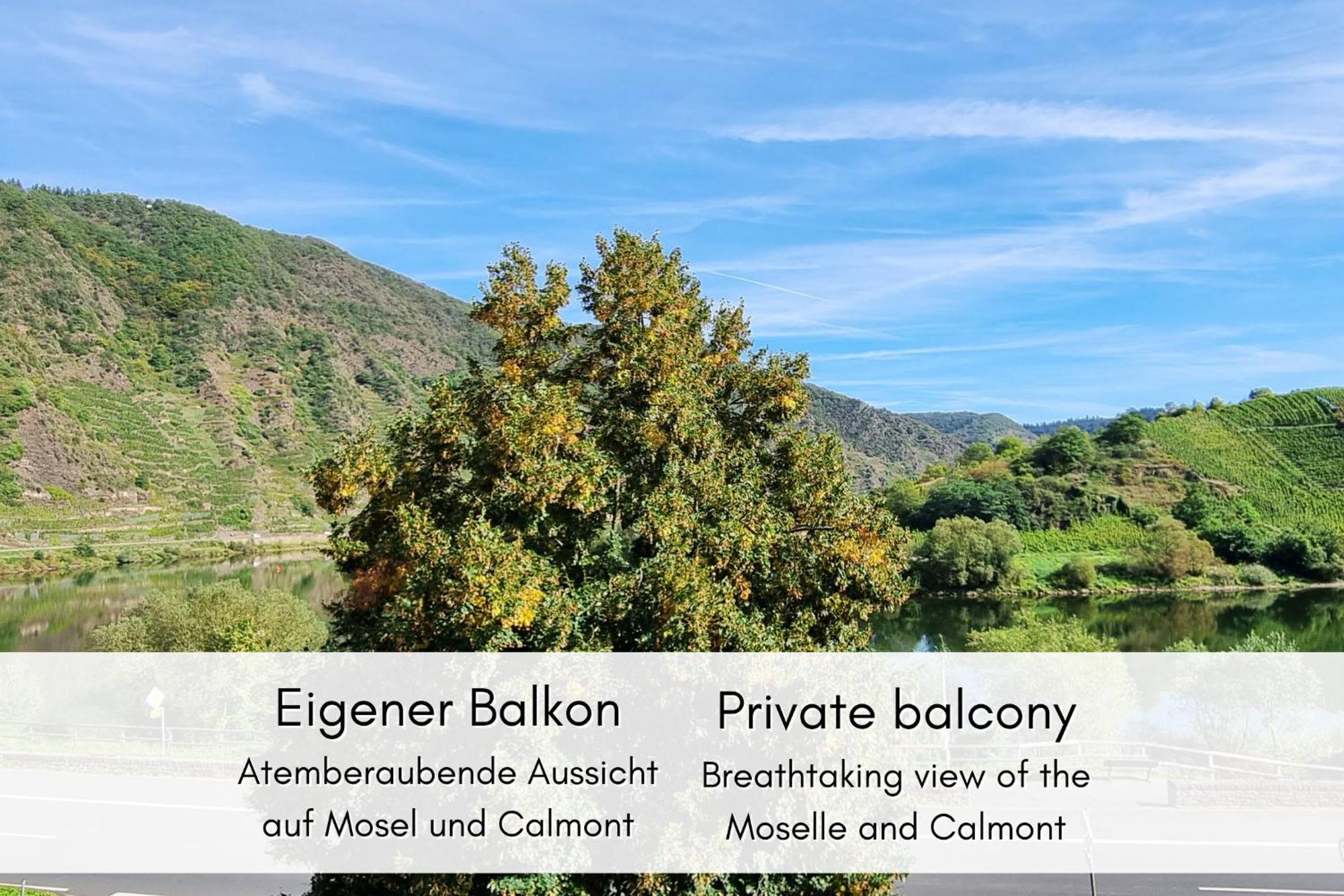 布雷姆Winzerhaus Am Calmont - Raumwunder Mit Moselblick公寓 外观 照片