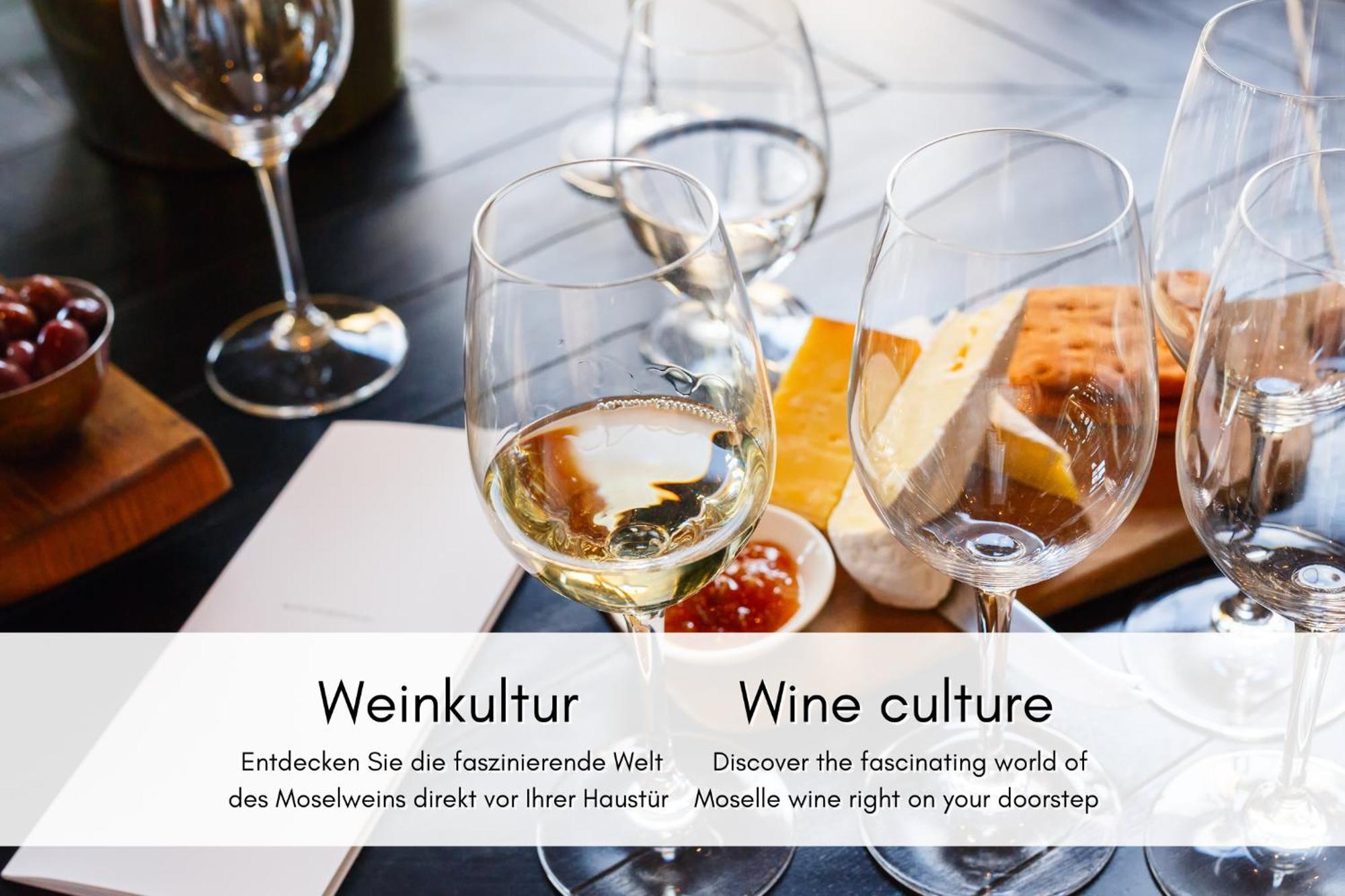 布雷姆Winzerhaus Am Calmont - Raumwunder Mit Moselblick公寓 外观 照片